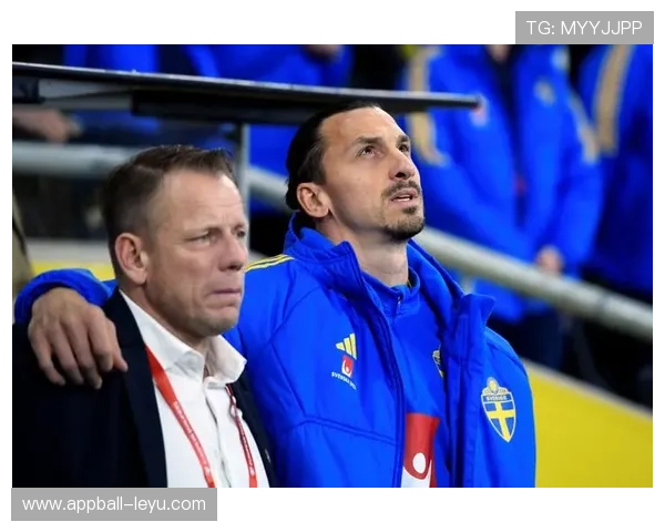 伊布退役后新篇章：开启商业与慈善事业，继续影响足坛外的世界