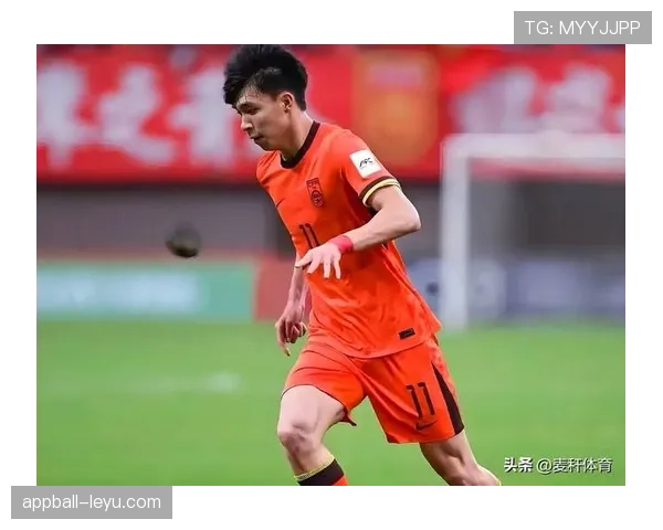 足球新星评分揭晓：新星球员的表现值得关注