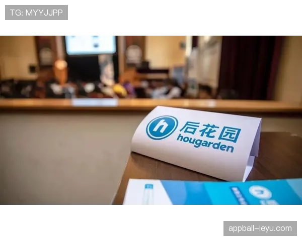 布鲁诺职业规划在职场变化中展现出崭新机会与定位的重要性